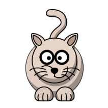Katzenklasse